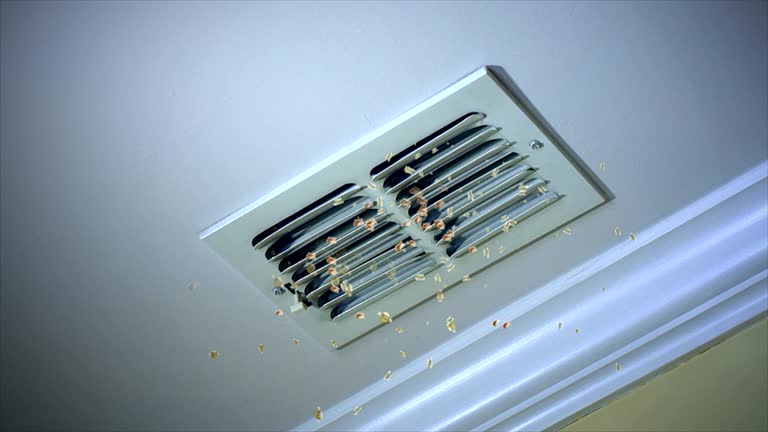 Best Commercial HVAC Duct Cleaning  in Providence, UT
